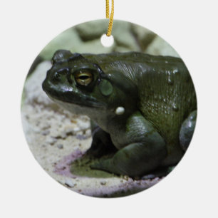 Incilius alvarius ceramic tree decoration