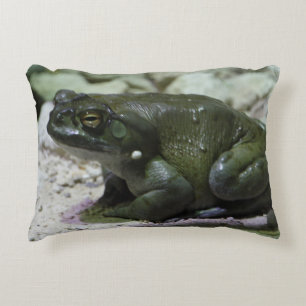 Incilius alvarius decorative cushion