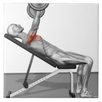 Incline Bench Press 3