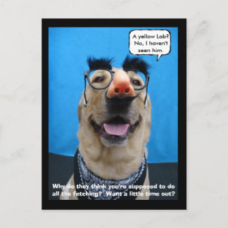 Incognito Postcard