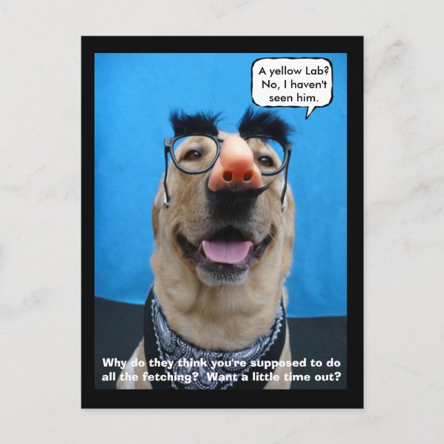 Incognito Postcard (Front)