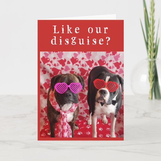**INCOGNITO & SHY** BE OUR VALENTINE? CARD (Front)