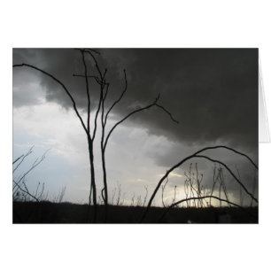 Incoming storm