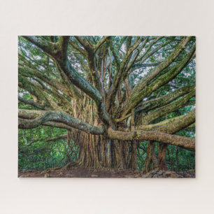Incredible Banyan Tree Jigsaw Puzzle