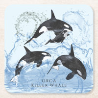 Incredible Black and White Watercolor Orcas