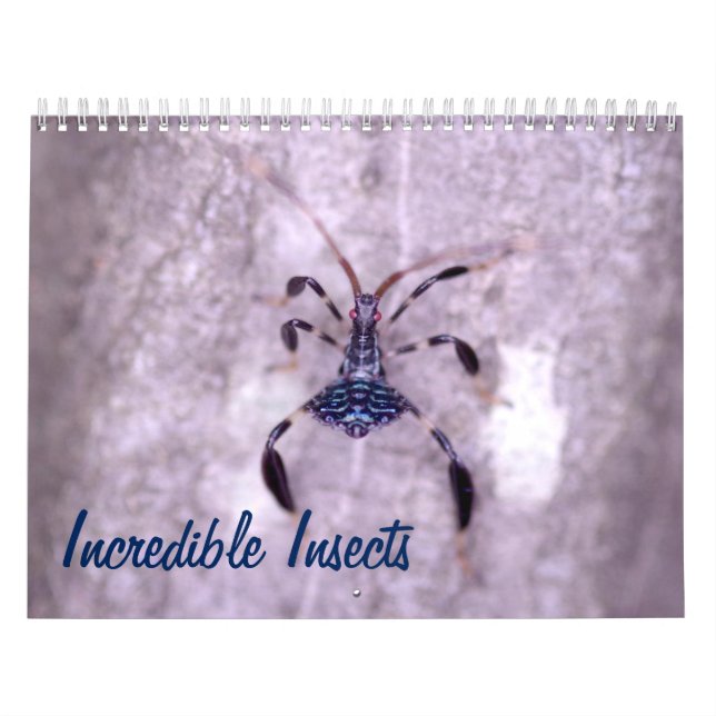 Incredible Insects Calendar (Cover)
