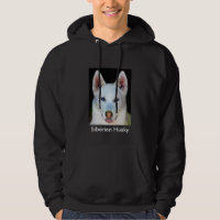 Incredible Siberian Husky