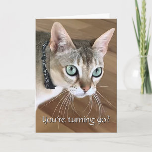 Incredulous Cat 90th Birthday Card