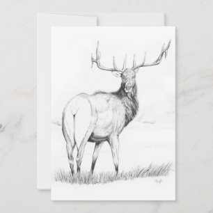 Indecision - 5" x 7" Invitation