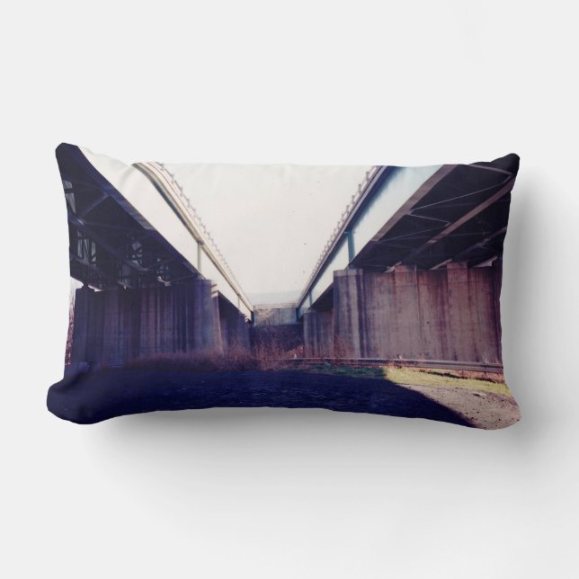 Indecision Bridge Lumbar Cushion (Front)