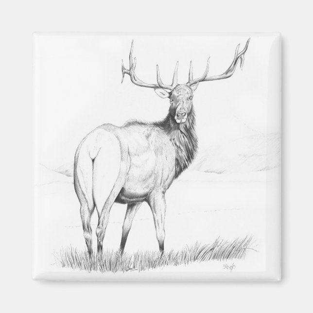 Indecision - Elk Magnet (Front)