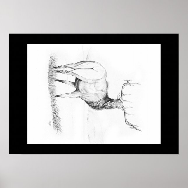 Indecision ~ Elk Poster (Front)