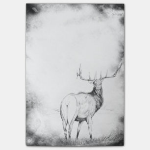 Indecision in the Mist Post-it Notes