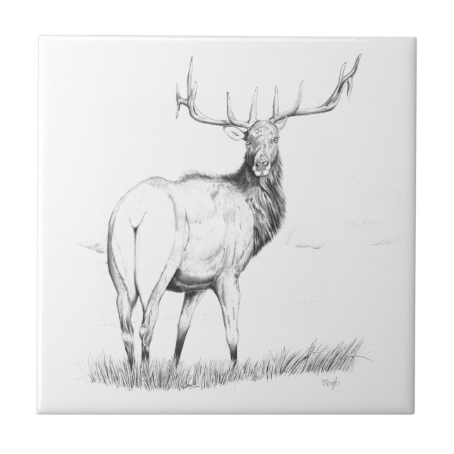 Indecision Tile (Front)