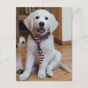 Independance Day, July 4th Postcard