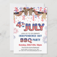 Independence Day Fireworks 4th of JULY BBQ Party