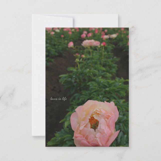Independent Pink Peony Card (Front)