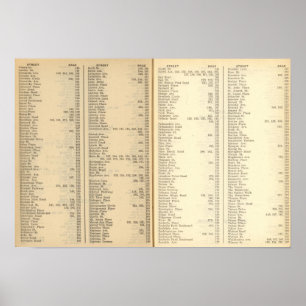 Index New Rochelle Poster