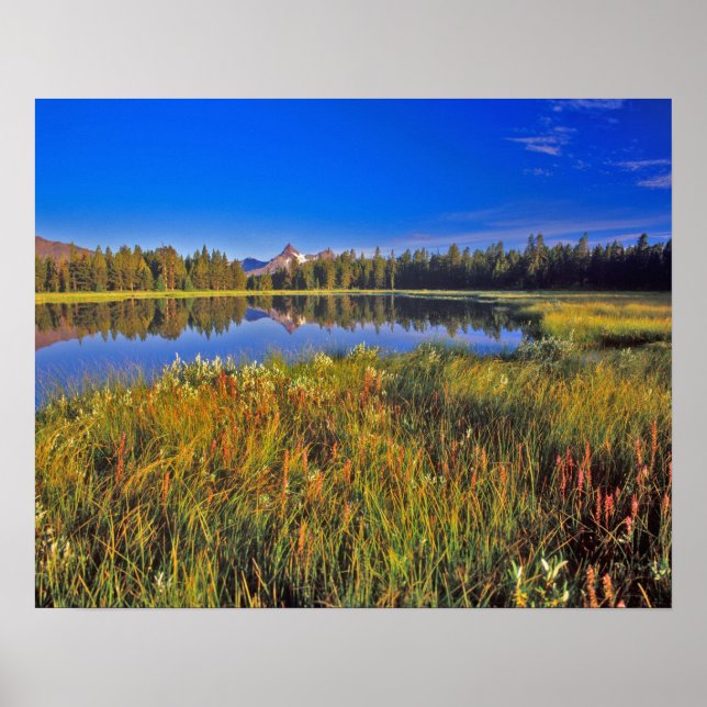 Index Peak reflects into Mud Lake on the Poster (Front)