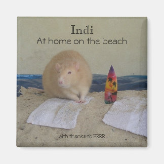 Indi, At home on the beach, with thanks to... Magnet