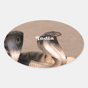 India Cobra Oval Sticker