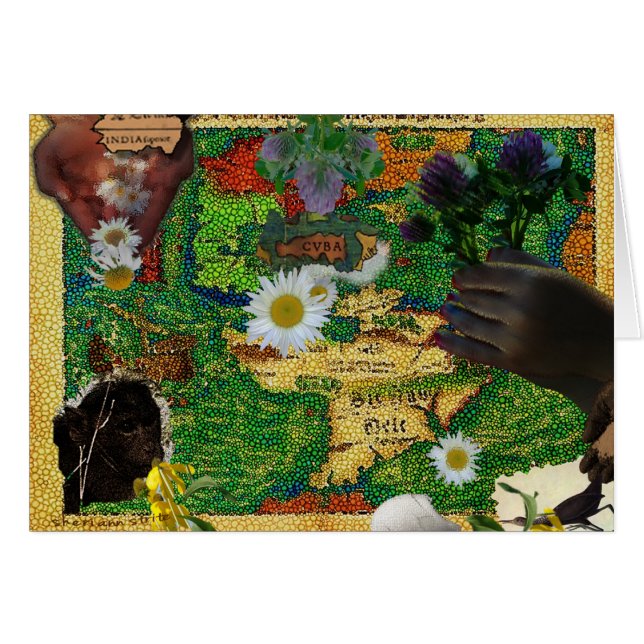 India & Cuba (Front Horizontal)