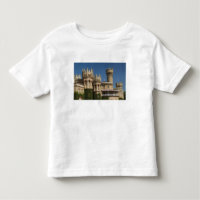 INDIA, Karnataka, Bangalore: Bangalore Palace