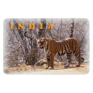 India Magnet
