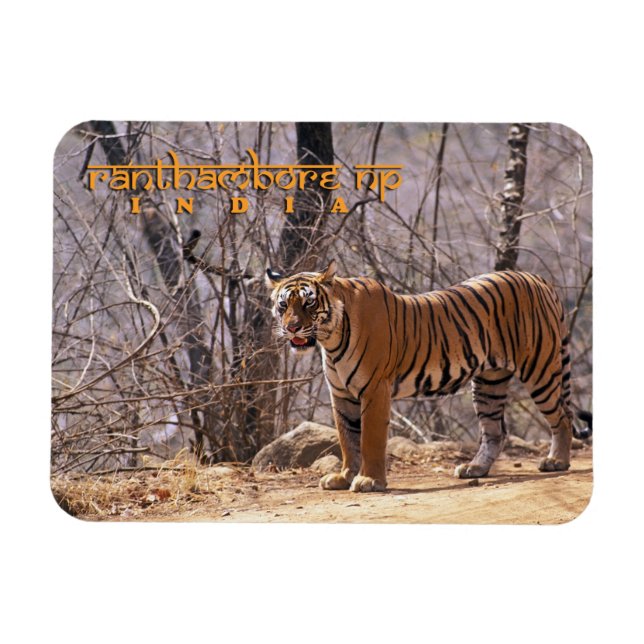 India Magnet (Horizontal)