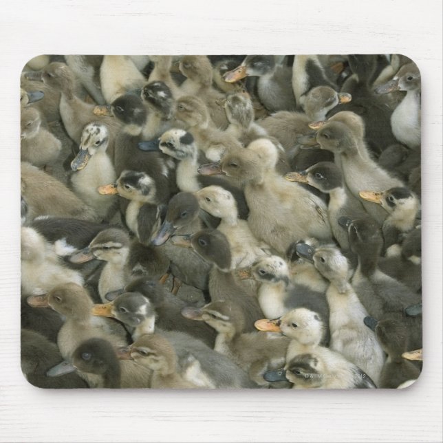 India Mouse Pad (Front)