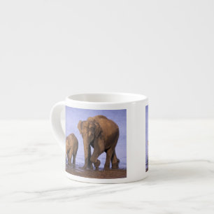 India, Nagarhole National Park. Asian elephant Espresso Cup