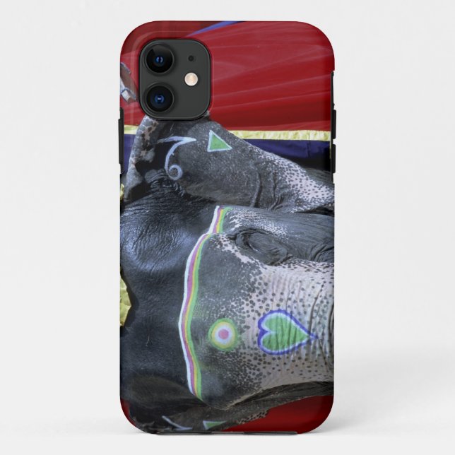 India, Rajasthan, Jaipur. Amber Fort. Case-Mate iPhone Case (Back)