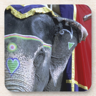 India, Rajasthan, Jaipur. Amber Fort. Coaster