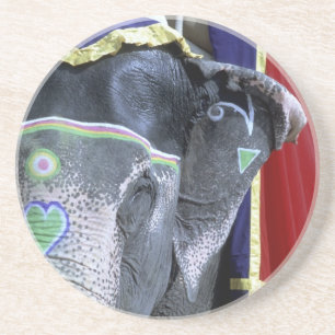 India, Rajasthan, Jaipur. Amber Fort. Coaster