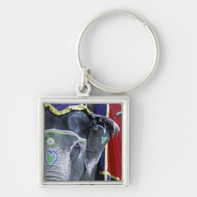 India, Rajasthan, Jaipur. Amber Fort. Key Ring (Front)