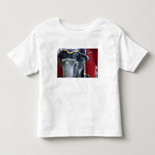 India, Rajasthan, Jaipur. Amber Fort. Toddler T-Shirt