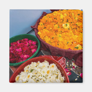 India, Rajasthan, Pipar Magnet