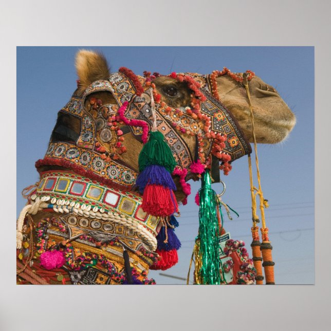 INDIA, Rajasthan, Pushkar: PUSHKAR CAMEL FAIR, Poster (Front)