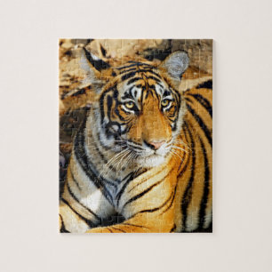India, Sawai Madhopur, Ranthambore National Jigsaw Puzzle