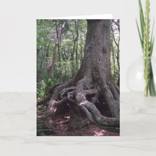 Indian Artefact Custom Louisiana Greeting Card