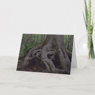 Indian Artefact Custom Louisiana Greeting Cards
