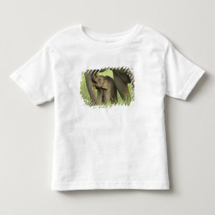 Indian / Asian Elephant and young one,Corbett 2 Toddler T-Shirt