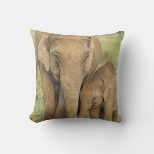 Indian / Asian Elephant and young one,Corbett Cushion