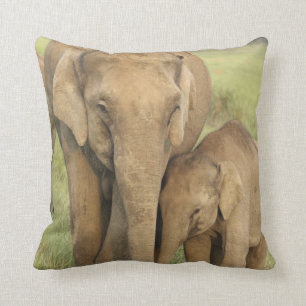 Indian / Asian Elephant and young one,Corbett Cushion