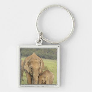 Indian / Asian Elephant and young one,Corbett Key Ring