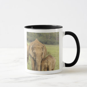 Indian / Asian Elephant and young one,Corbett Mug