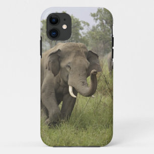 Indian Asian Elephant Greeting Case-Mate iPhone Case