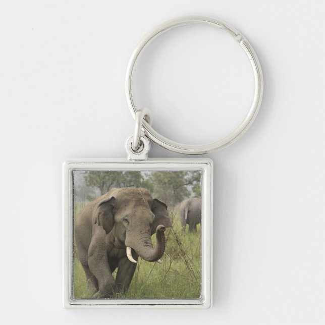 Indian Asian Elephant Greeting Key Ring (Front)