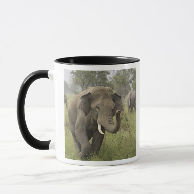 Indian Asian Elephant Greeting Mug (Left)