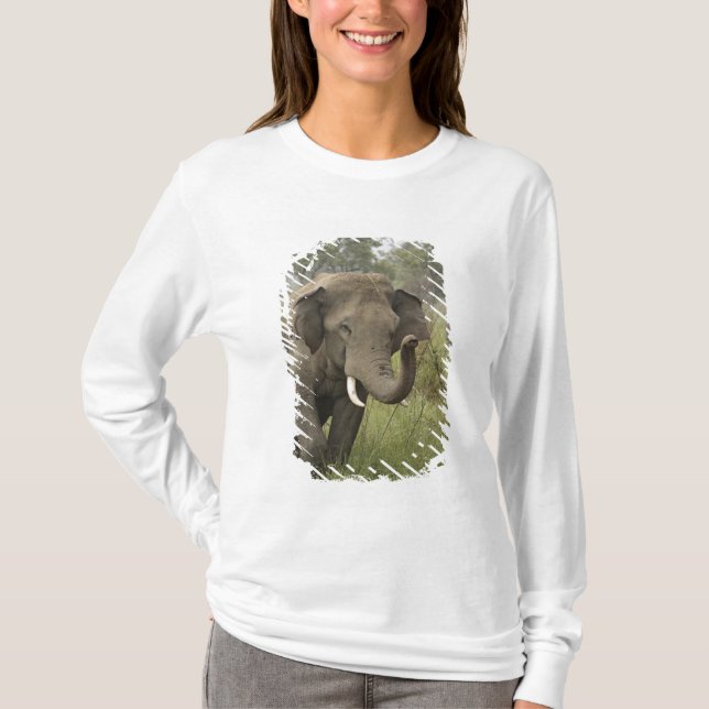 Indian Asian Elephant Greeting T-Shirt (Front)